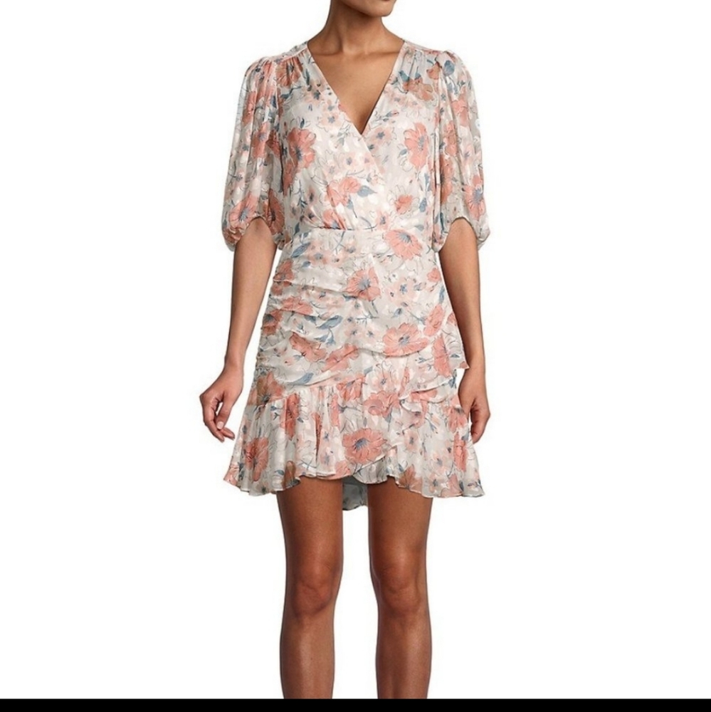 Rebecca Taylor Amelie Dress Sz 2